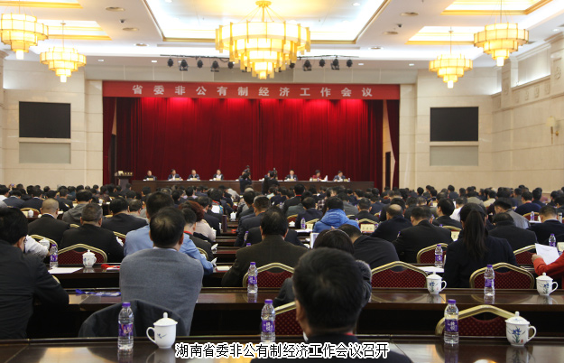 mk网董事长胡国安出席湖南省委非公有制经济工作会议，并接受湖南卫视、经视采访