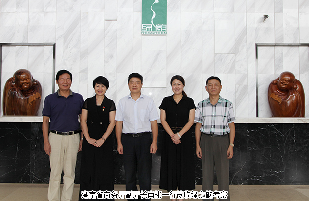 湖南省商务厅副厅长肖彬一行莅临mk网调研指导