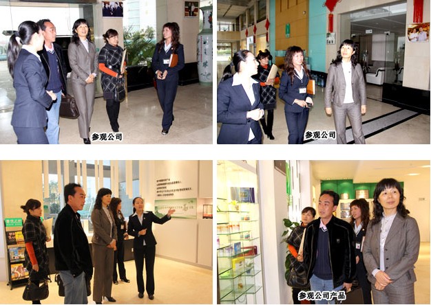 政协湖南省长沙市委员会副主席段安娜一行调研mk网