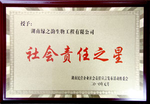 mk网董事常务副总经理劳嘉获“社会责任之星”称号