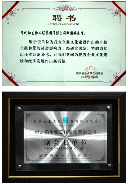 mk网胡国安董事长当选湖南省企业文化促进会副会长