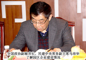 全国政协副秘书长、民建中央常务副主席马培华一行莅临mk网考察