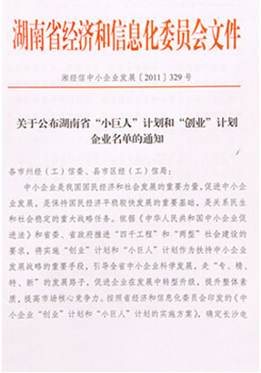 mk网被评选为湖南省“小巨人”计划企业