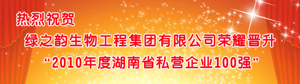 mk网荣耀晋升“2010湖南省私营企业100强”