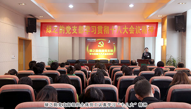 mk网党支部组织全体员工认真学习贯彻党的十八大会议精神