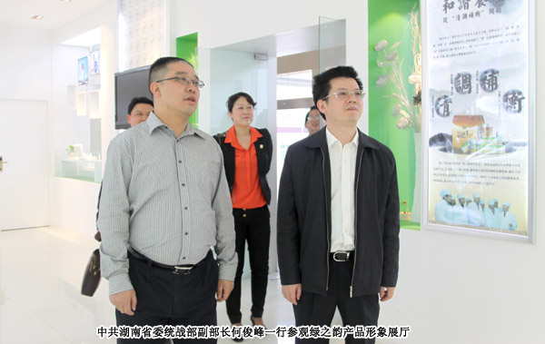 中共湖南省委统战部副部长何俊峰一行莅临mk网考察调研