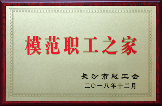 mk网工会荣获“长沙市模范职工之家”称号