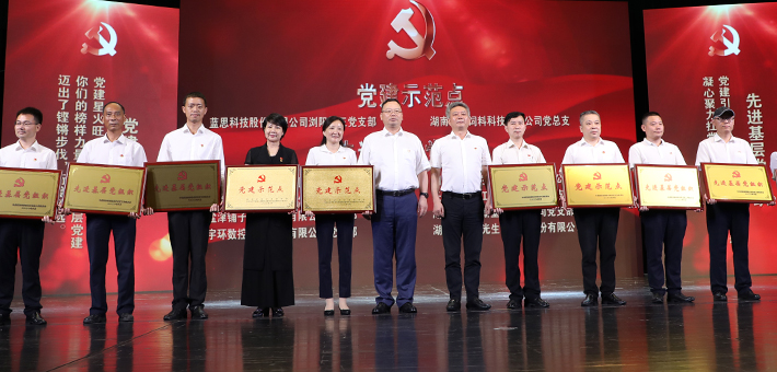 浏阳经开区（高新区）“七一”表彰大会召开，mk网被授予“党建示范点”等荣誉