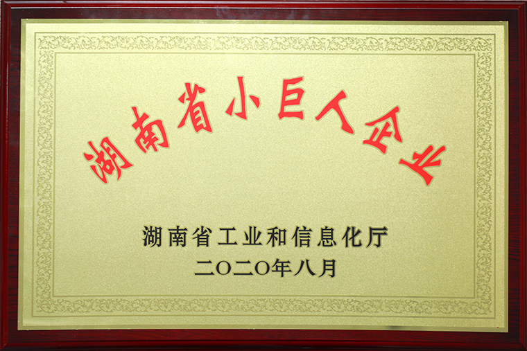 喜讯｜mk网获评2020年“湖南省小巨人企业”