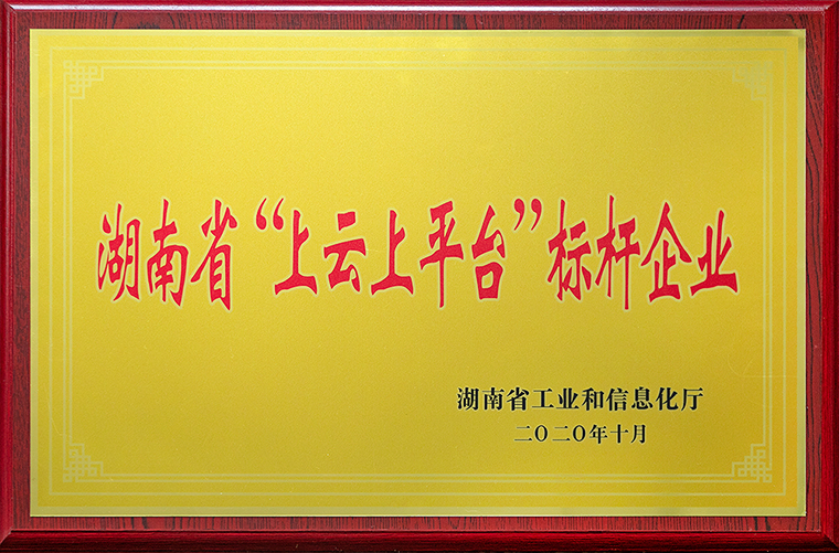 mk网获评2020年湖南省“上云上平台”标杆企业