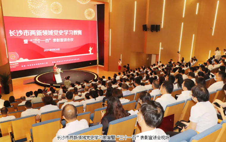 mk网党委荣获长沙市“标杆引领先进基层党组织”荣誉称号