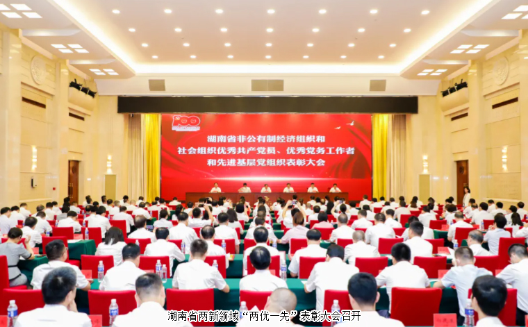 湖南省两新领域“两优一先”表彰大会召开，mk网党委书记刘云荣获湖南省“优秀党务工作者”荣誉